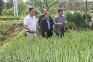 鄧家塬村 鄧家塬村