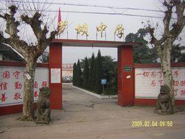 羅壩自衛隊 羅壩自衛隊