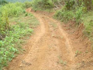 胡廣箐自然村 胡廣箐自然村