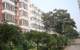 大慧寺8號院 大慧寺8號院