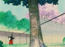 五芒黑光：可以吸收能量也可以儲存並釋放出黑暗之力攻擊敵人