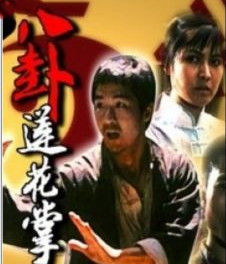 八卦蓮花掌 八卦蓮花掌