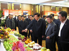 市社圓滿完成“十八大”果品供應工作