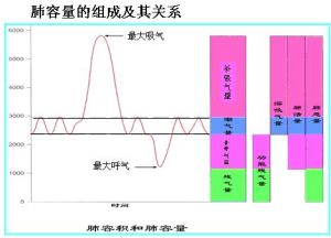 分鐘通氣量 分鐘通氣量