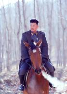 豆娘[2015年電視劇]