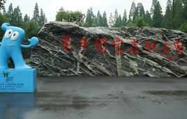 上海市東平國家森林公園 上海市東平國家森林公園