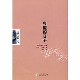 典型的日子 典型的日子