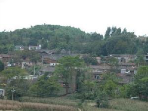 庵子上村 庵子上村