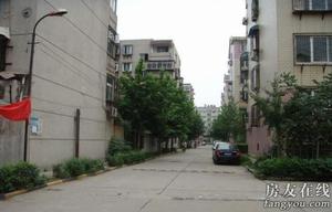 陽光柳岸 陽光柳岸