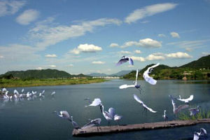 常山國家地質公園 常山國家地質公園