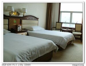 桂林金浦大酒店  標準雙人間
