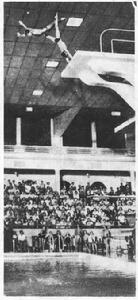 跳水錶演 跳水錶演