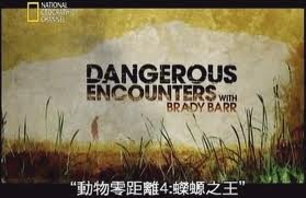 動物零距離:蠑螈之王 動物零距離:蠑螈之王