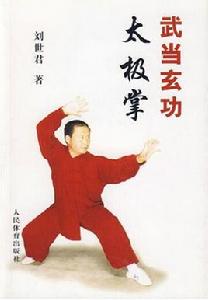 武當玄功太極掌 武當玄功太極掌