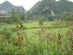 落水自然村 落水自然村