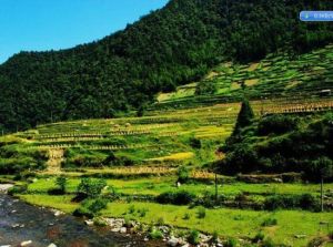 南山白楊溝風景區 南山白楊溝風景區