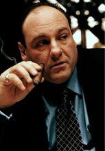 詹姆斯·甘多菲尼