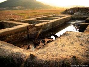 古椰貝丘遺址 古椰貝丘遺址