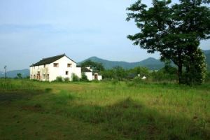 塘尚樹自然村 塘尚樹自然村