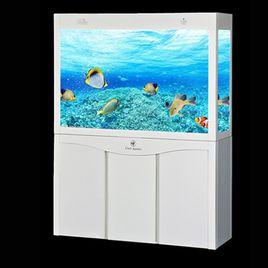 可麗愛水族箱 可麗愛水族箱