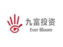 九富投資 九富投資