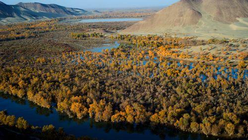 位於塔里木河上游沙雅縣一段