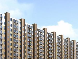 金鹿伯樂城期融金道 金鹿伯樂城期融金道