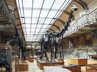 古生物館和比較解剖館