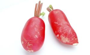 冕寧紅蘿蔔 冕寧紅蘿蔔