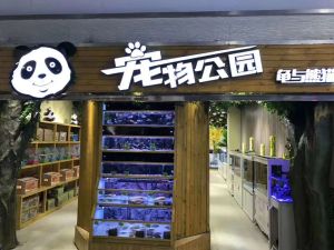 龜與熊貓 龜與熊貓