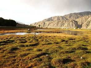 絲綢古道金草灘 絲綢古道金草灘
