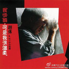 我很醜可是我很溫柔[趙傳音樂專輯]