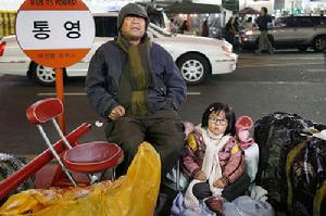 《鈴鐺西紅柿》