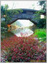 溪南橋，位於南陽鎮溪南村