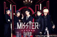 MISSTER