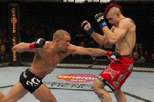 飛拳[武術動作]