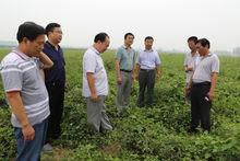 河北省中醫藥科學院