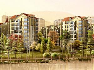 雙匯歐洲故事 雙匯歐洲故事