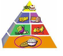 穀類與飲食結構