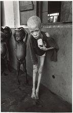 唐&middot;麥庫寧作品