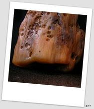 信江水沖木化玉