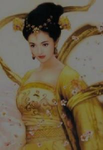 趙皇后[唐中宗和思皇后]