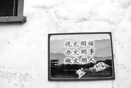 城市牛皮癬 城市牛皮癬