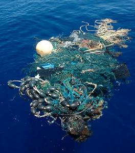 塑膠、繩索、各種水生動物和一張漁網糾結在一起