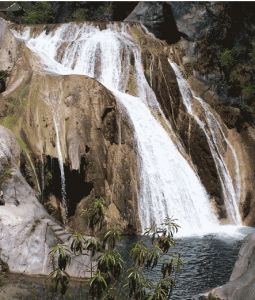 武漢虎嘯灘 武漢虎嘯灘