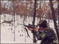 鳳凰山望雲峰國際滑雪狩獵場 鳳凰山望雲峰國際滑雪狩獵場