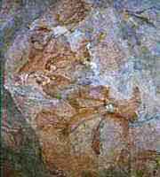 周口店北京猿人遺址