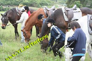 大棠荔枝園騎術學校