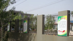 南泗莊村 南泗莊村