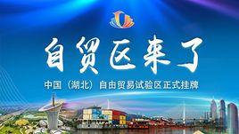 中國(湖北)自由貿易試驗區宜昌片區 中國(湖北)自由貿易試驗區宜昌片區